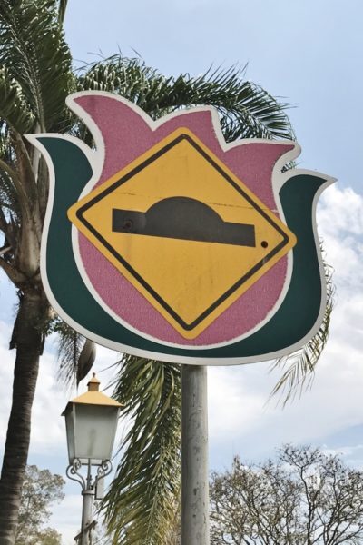 Tulipas até nas placas de trânsito