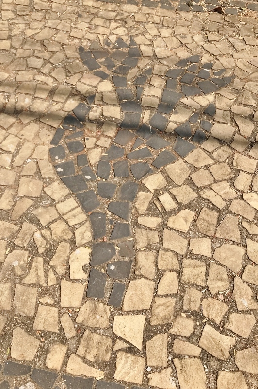 Flores em desenhos de pedra portuguesa nas calçadas