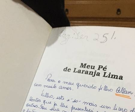  A dedicatória em livro emocionou a estudante Karoline Dias, que agora procuro o dono