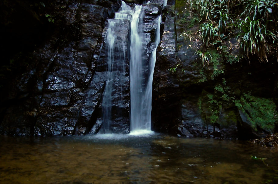 Cachoeira do Chuveiro é a mais famosa do Horto