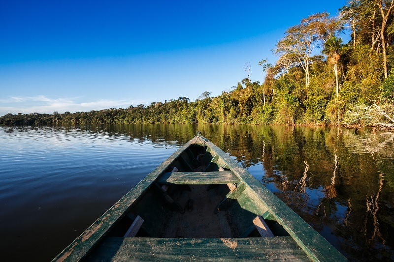 Uma das experiência em Manaus é conhecer a floresta amazônica