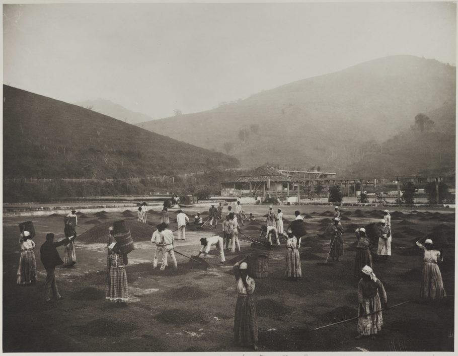 Escravizados em terreiro da Fazenda Monte CaféSapucaia, Vale do Paraíba, na década de 1880