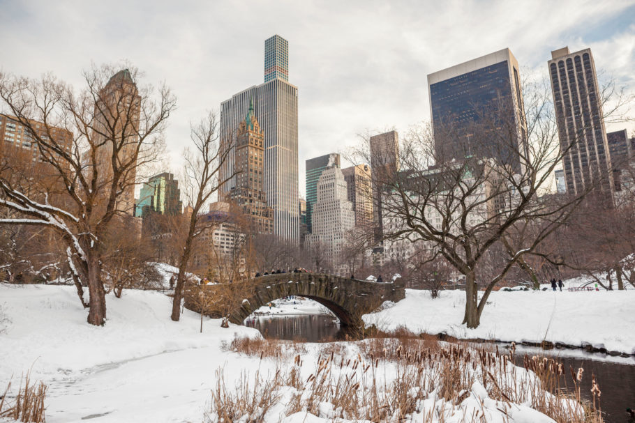 O Central Park com neve