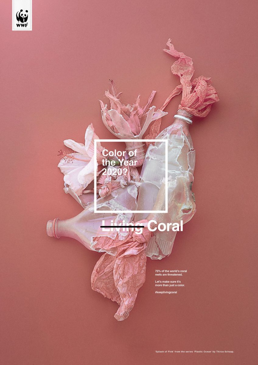 Living Coral foi a tonalidade de 2019