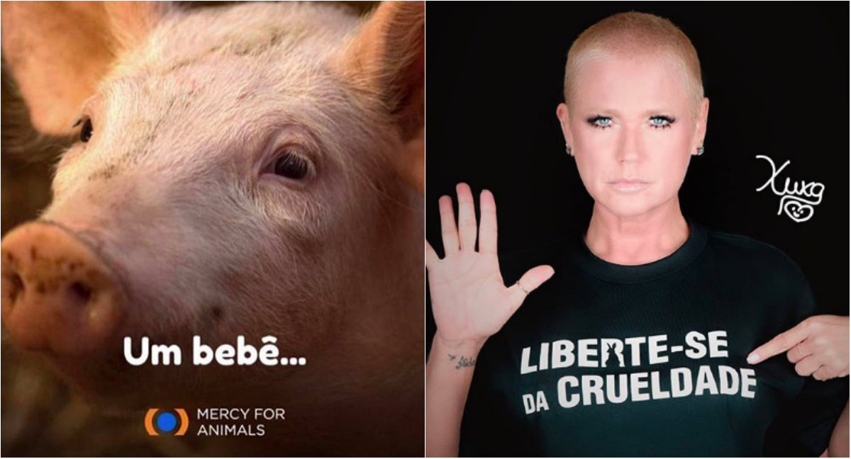 Xuxa faz novas publicações sobre o consumo de animais