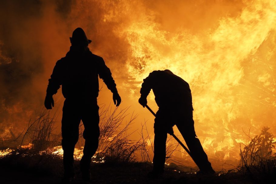 Cerca de 4,8 milhões de hectares foram dizimados pelas chamas