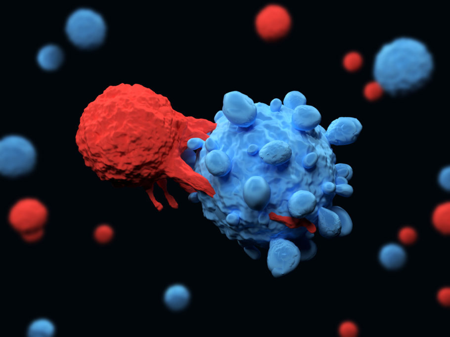 Novo tipo de célula-T ataca as células cancerosas, preservando as saudáveis