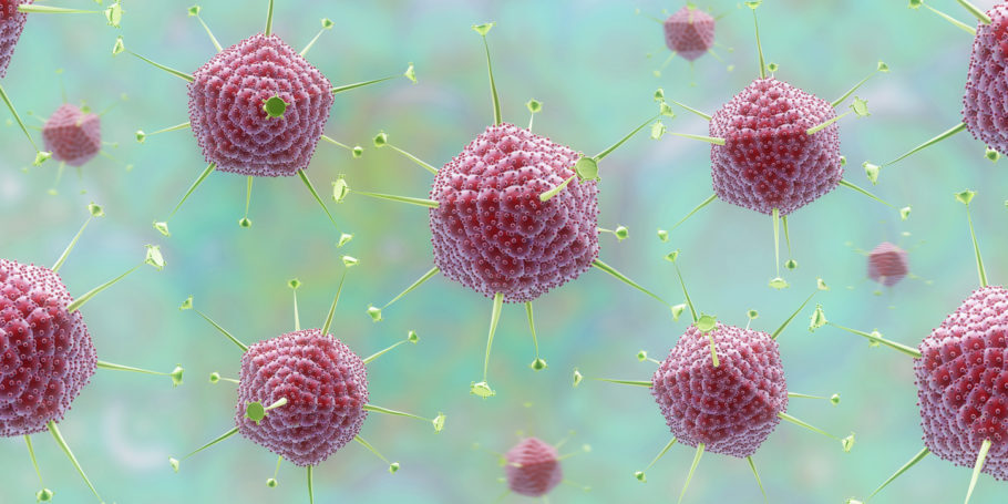  O novo coronavírus compromete o sistema respiratório e pode levar à morte
