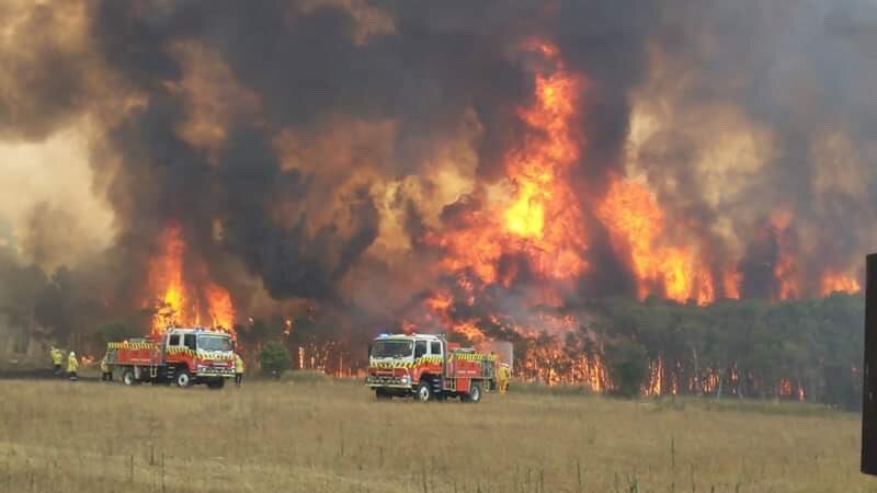 Austrália vive pior temporada de incêndios florestais