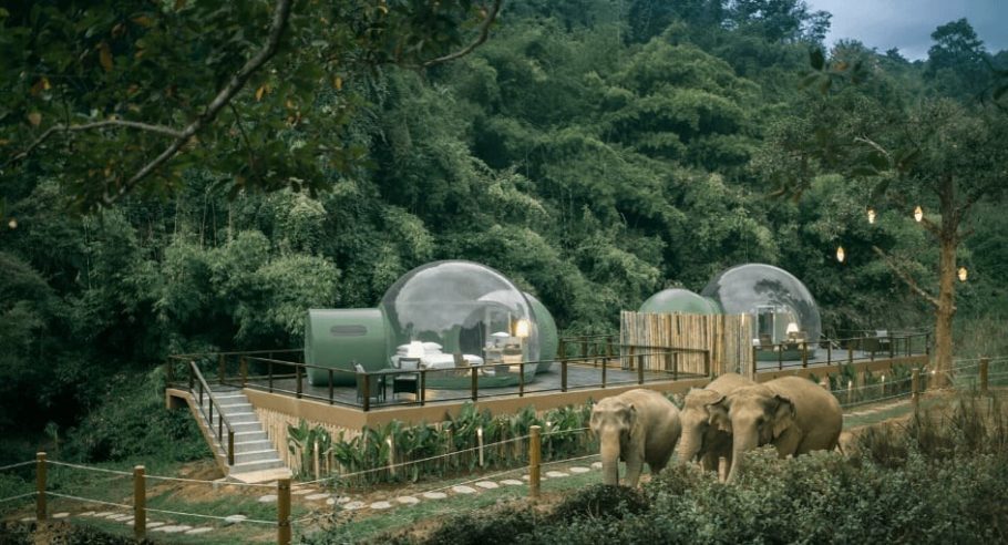 Suítes bolhas do Anantara Golden Triangle Elephant Camp & Resort, na Tailândia