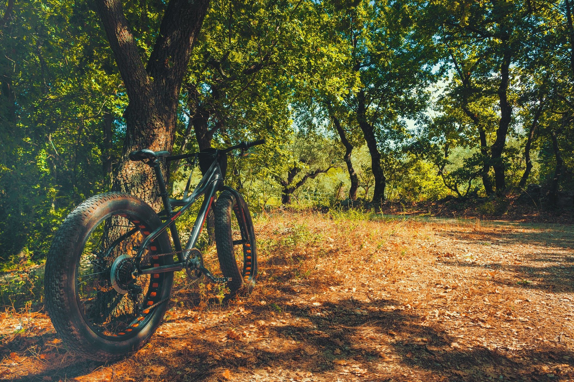 Treino de Pilates de 30 minutos para Bikers