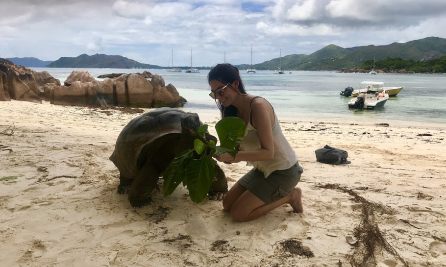  Visitei Curieuse island, a ilha das tartarugas gigantes em Seychelles
