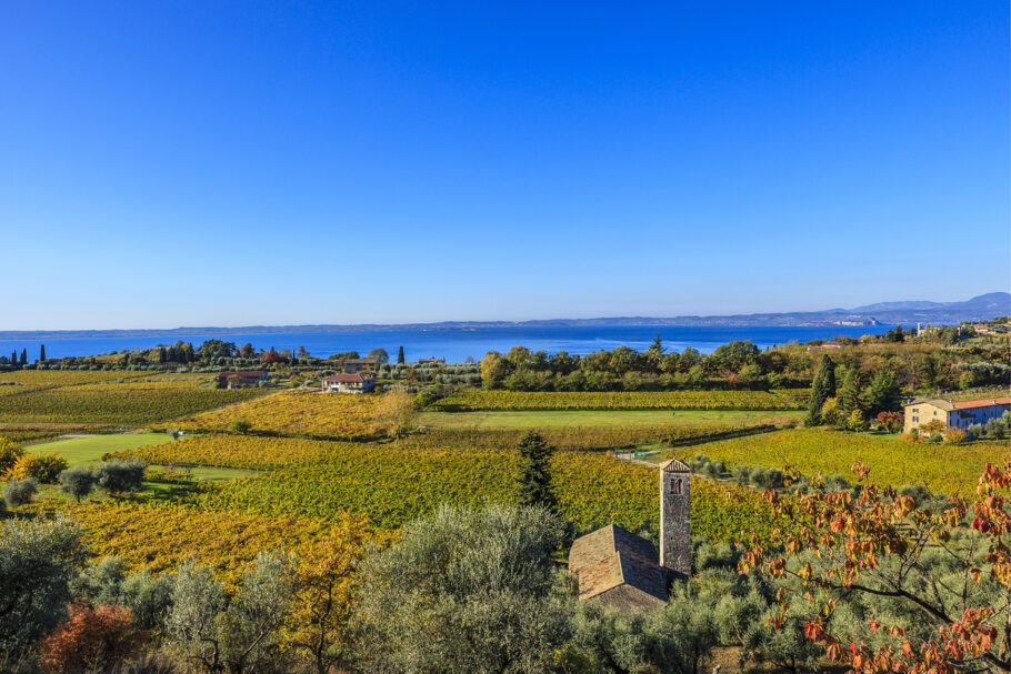 Vista dos parreirais de Bardolino com o lago di Garda ao fundo