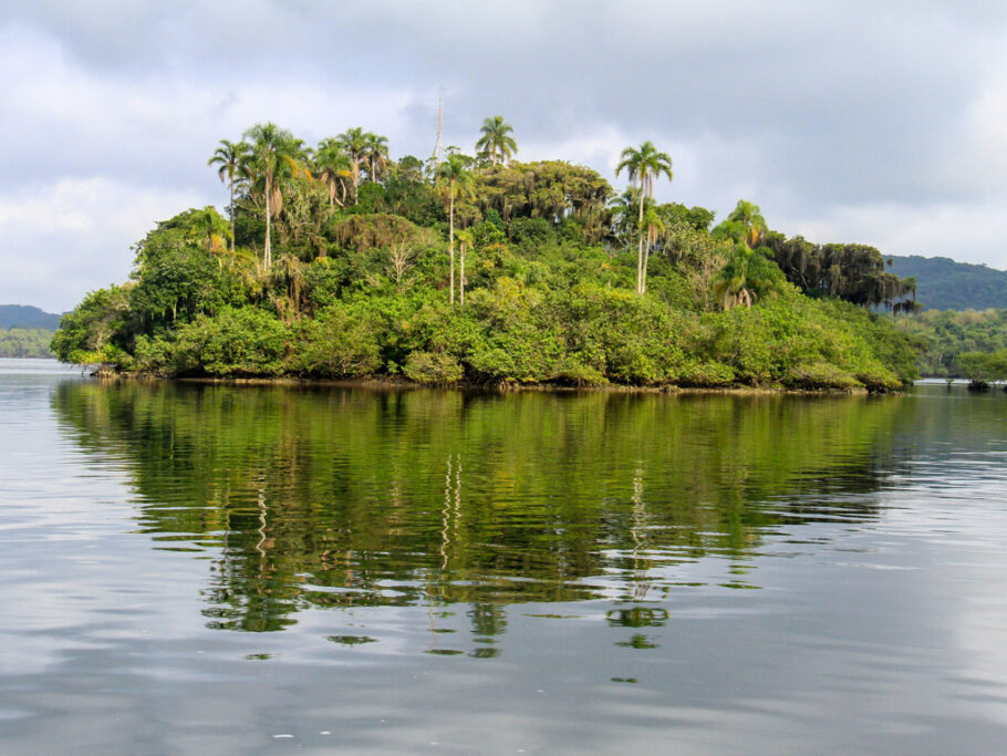 A Ilha do Cardoso, em Cananeia, abriga múltiplos tipos de vegetação do bioma Mata Atlântica