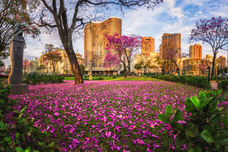 Liberty Square (Praça da Liberdade) in Belo Horizonte. In the Winter, the City is full with beautiful Pink Trumpet Trees. The Famous Niemeyer Building along with other Buildings are lit by a warm orange light from the sunset while the grass is full of pink leaves that fell from the Trumpet Trees.
