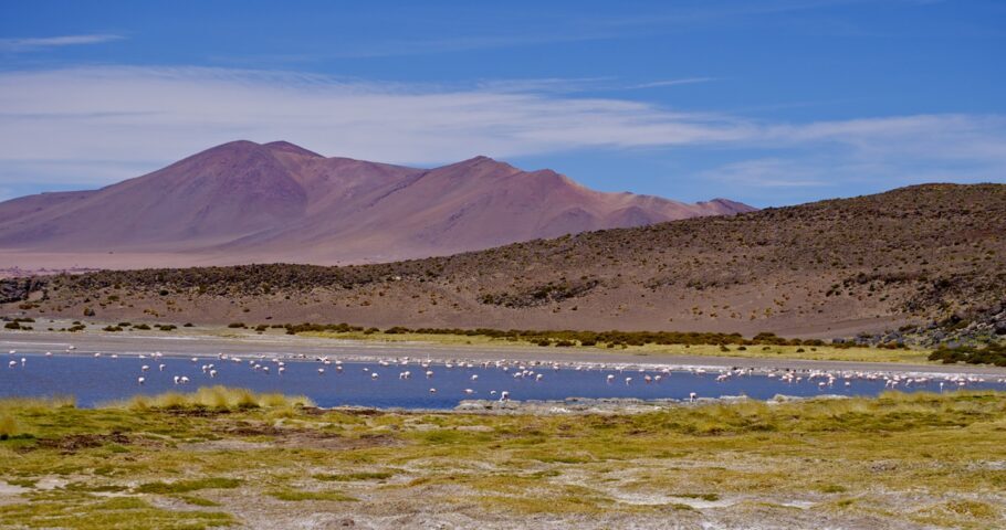 A Reserva Nacional Los Flamencos, no Atacama, também está fechado
