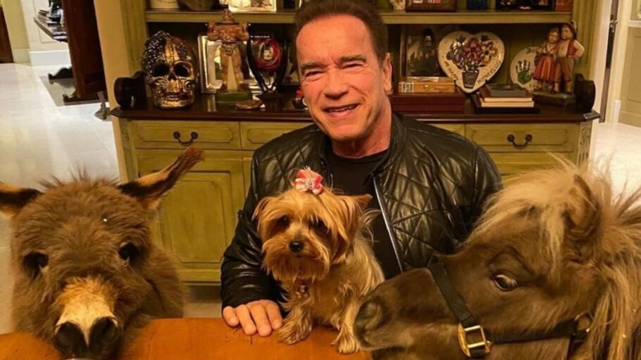 Arnold Schwarzenegger decidiu ficar em casa, pois faz parte do grupo de risco