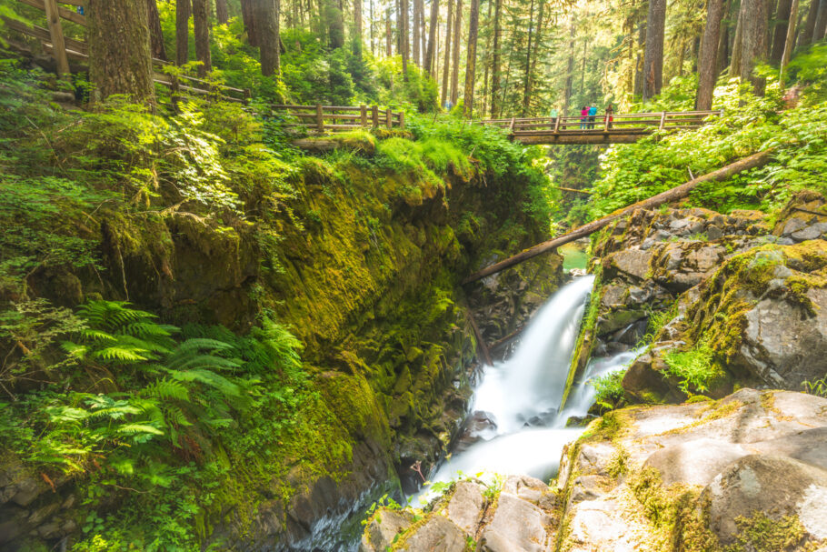 A Trilha Sol Duc Falls fica no Parque Nacional Monte Olímpico, no estado de Washington