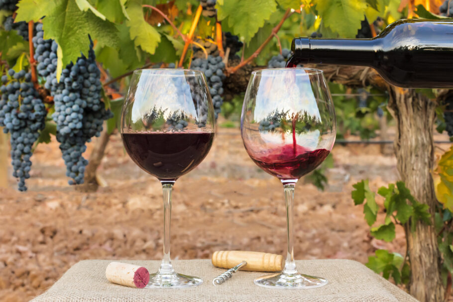 Inscrições abertas para bolsa de mestrado em turismo do vinho