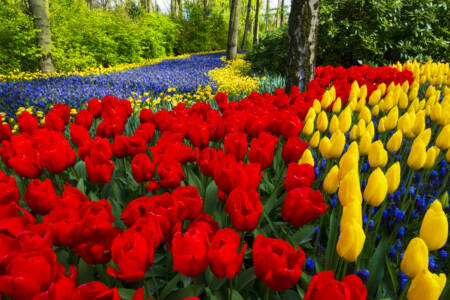 São mais de sete milhões de flores plantadas a cada ano
