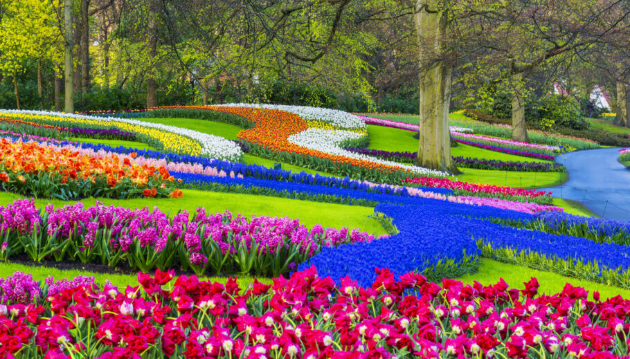 Todos os anos, 7 milhões de bulbos de flores são plantados a mão em Keukenhof