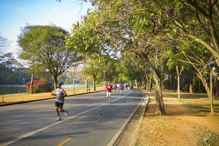 Parque do Ibirapuera vai reabrir a partir do dia 13 de julho com capacidade reduzida