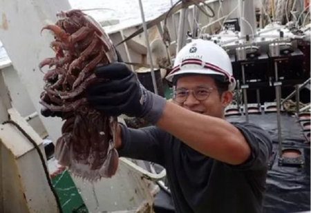 Cientistas encontram ‘barata gigante’ no fundo do mar na Indonésia