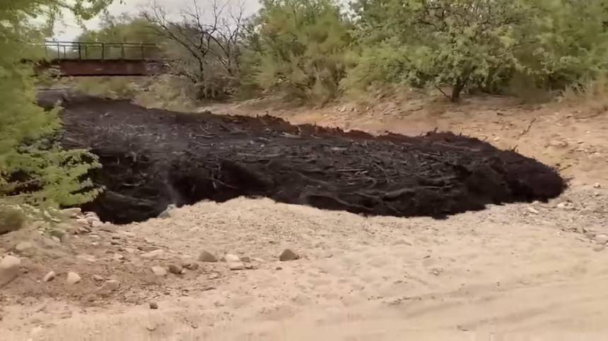 Vídeo mostra rio de lama negra devorando tudo em seu caminho no Arizona