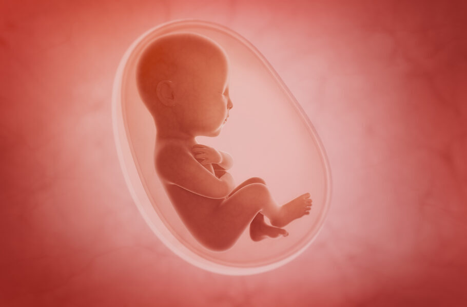 Sangramento e cólica podem ser sinais de aborto e devem ser investigados