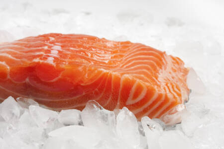 estudo descobre quanto tempo coronavírus vive em congelados