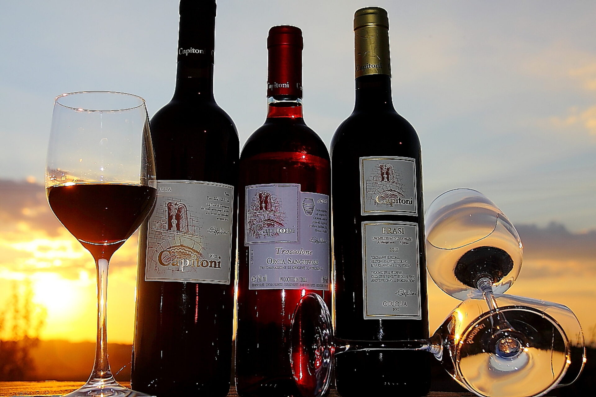 A Toscana concentra a “nata” das melhores e mais famosas vinícolas no mundo