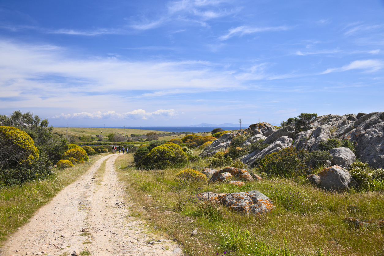 Parque Natural da Ilha Asinara é uma das atrações a serem visitadas na Sardenha