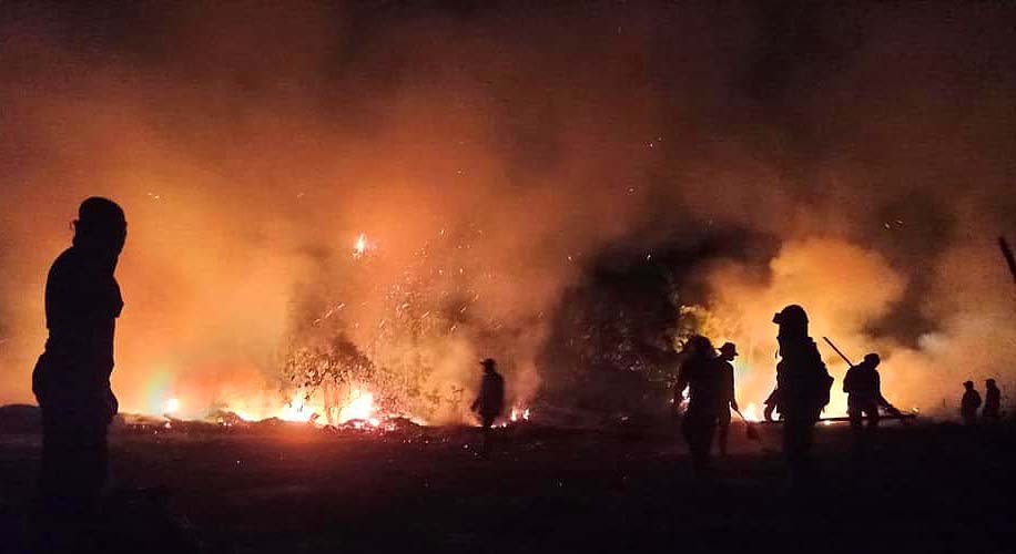 Bombeiros tentam conter as chamas dos incêndios florestais que atingem o Pantanal