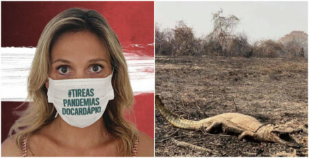 Luisa Mell critica Bolsonaro por queimadas no pantanal e é atacada