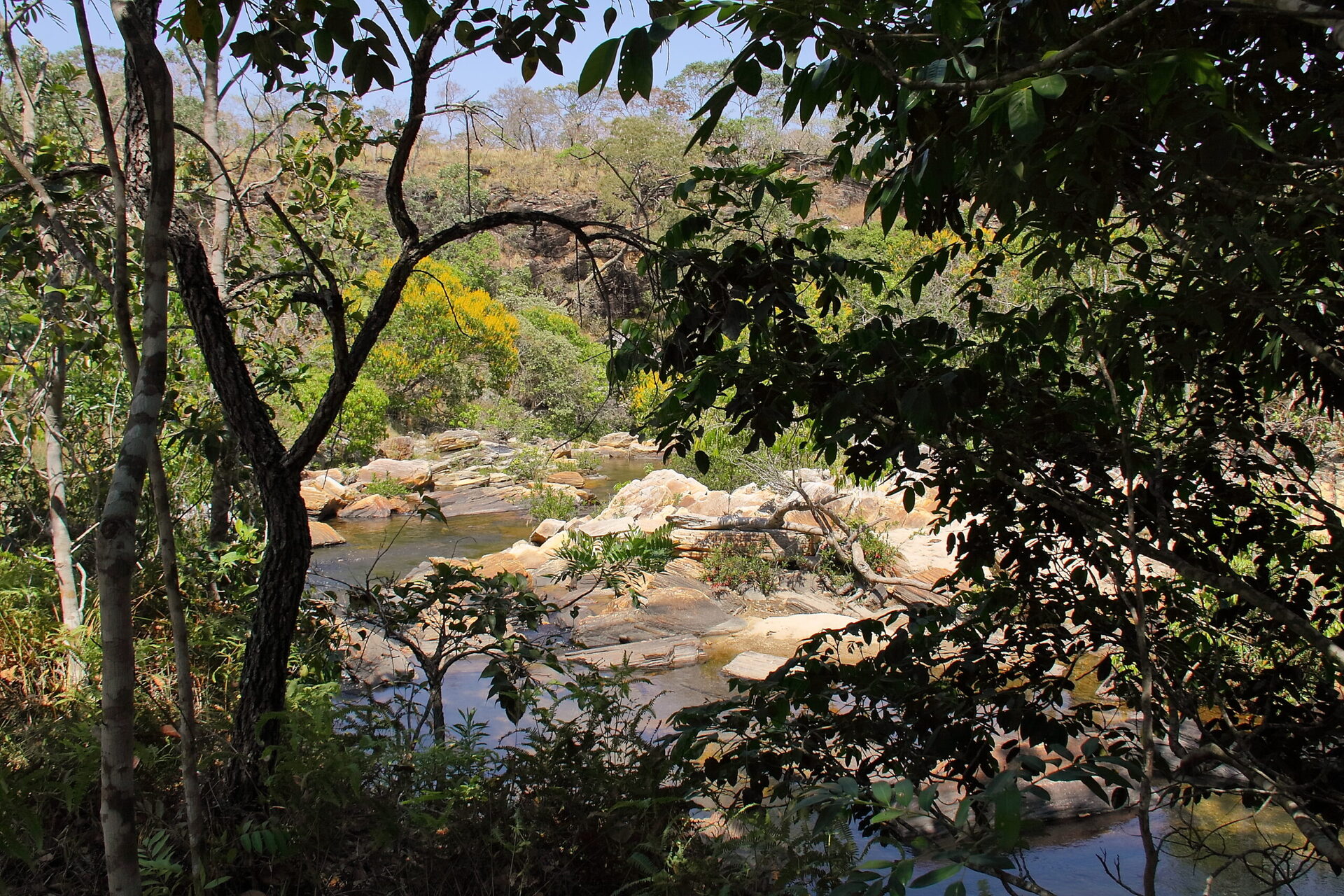 Conheca O Cerrado O Segundo Maior Bioma Brasileiro