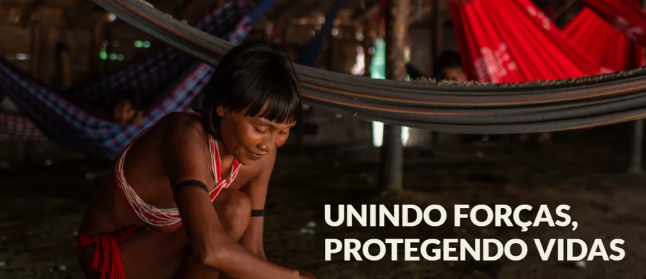 Para doar acesse o site União Amazônia Viva 