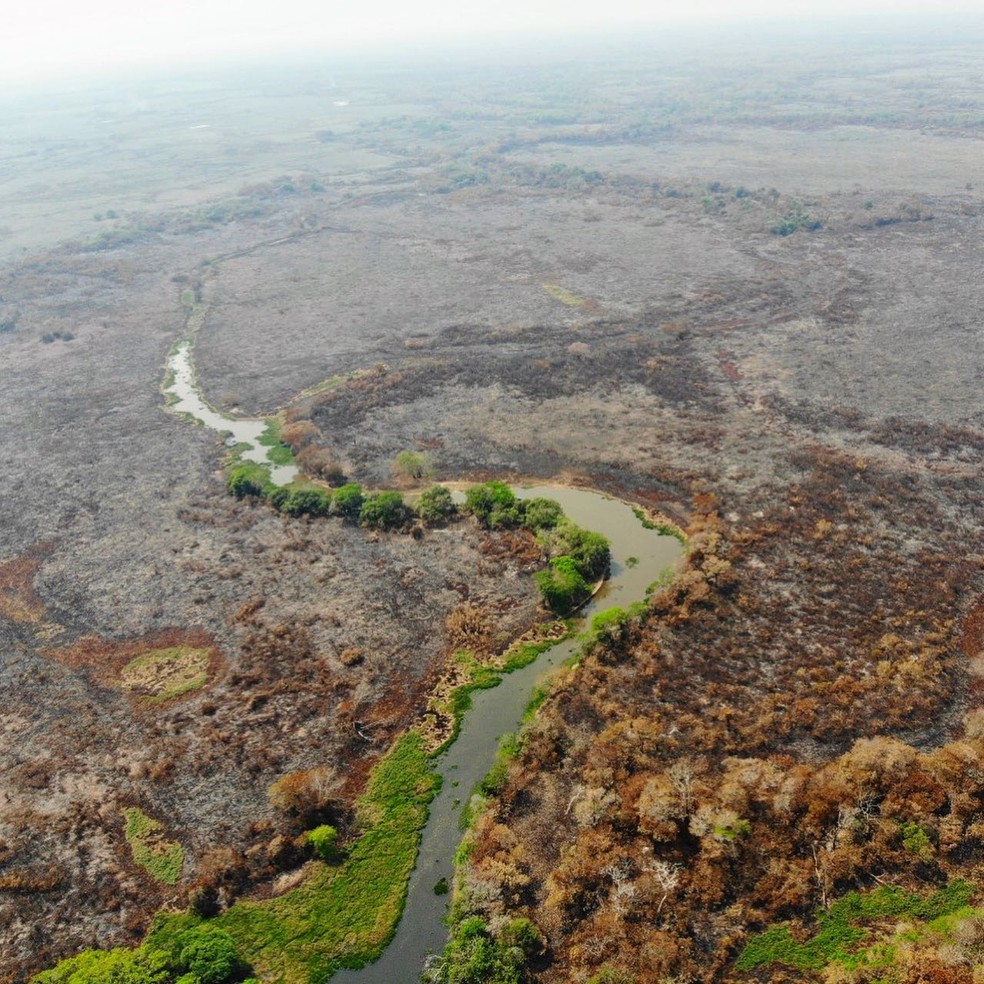  Imagem área mostra parte do Pantanal devastado pelo fogo