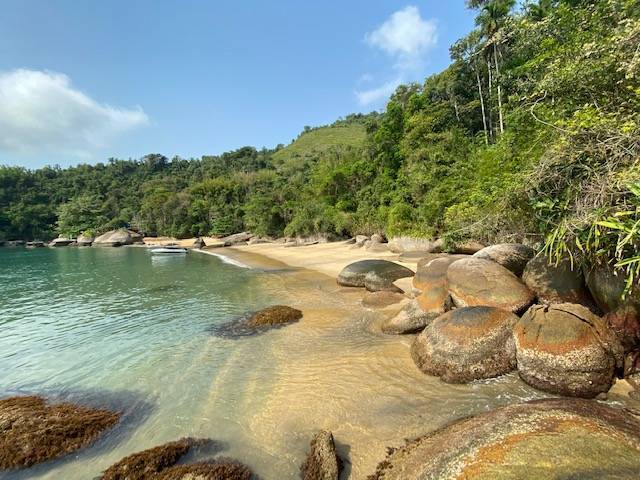 A praia Saco da Velha: selvagem, coberta de uma floresta densa, e com águas calmas