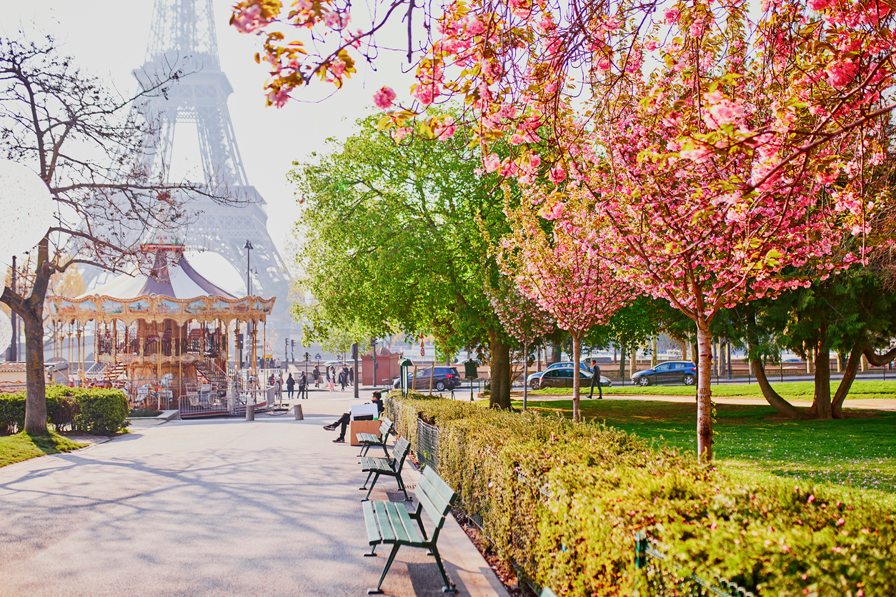 Scenic view of the Eiffel tower with cherry blossom trees in Paris, France on a spring day