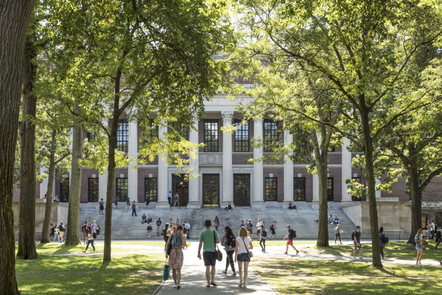 Santander e Harvard oferecem 5 mil bolsas de estudos; veja como se inscrever
