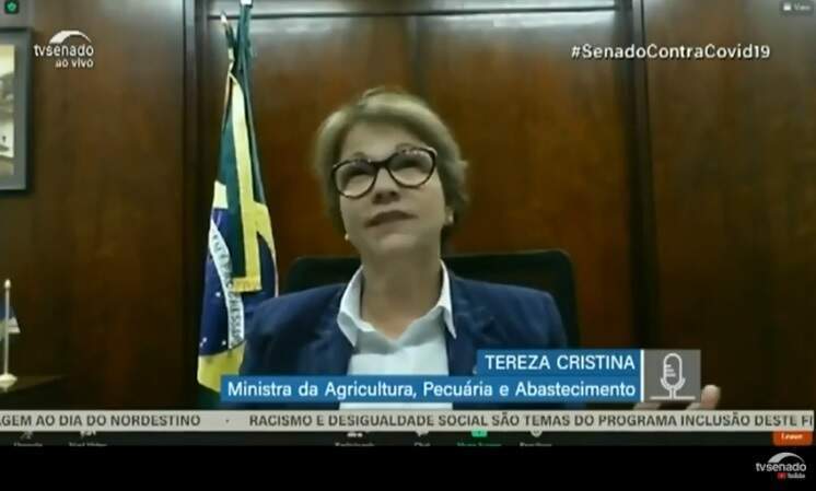 Ministra Tereza Cristina (Agricultura) disse que, se houvesse mais gado no Pantanal, desastre das queimadas teria sido ‘até menor’