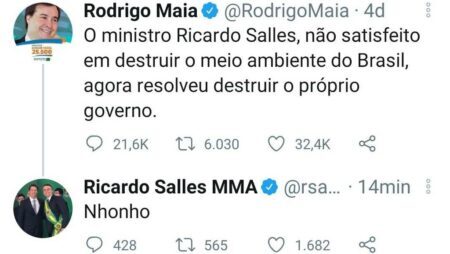 Ricardo Salles chama Rodrigo Maia de Nhonho