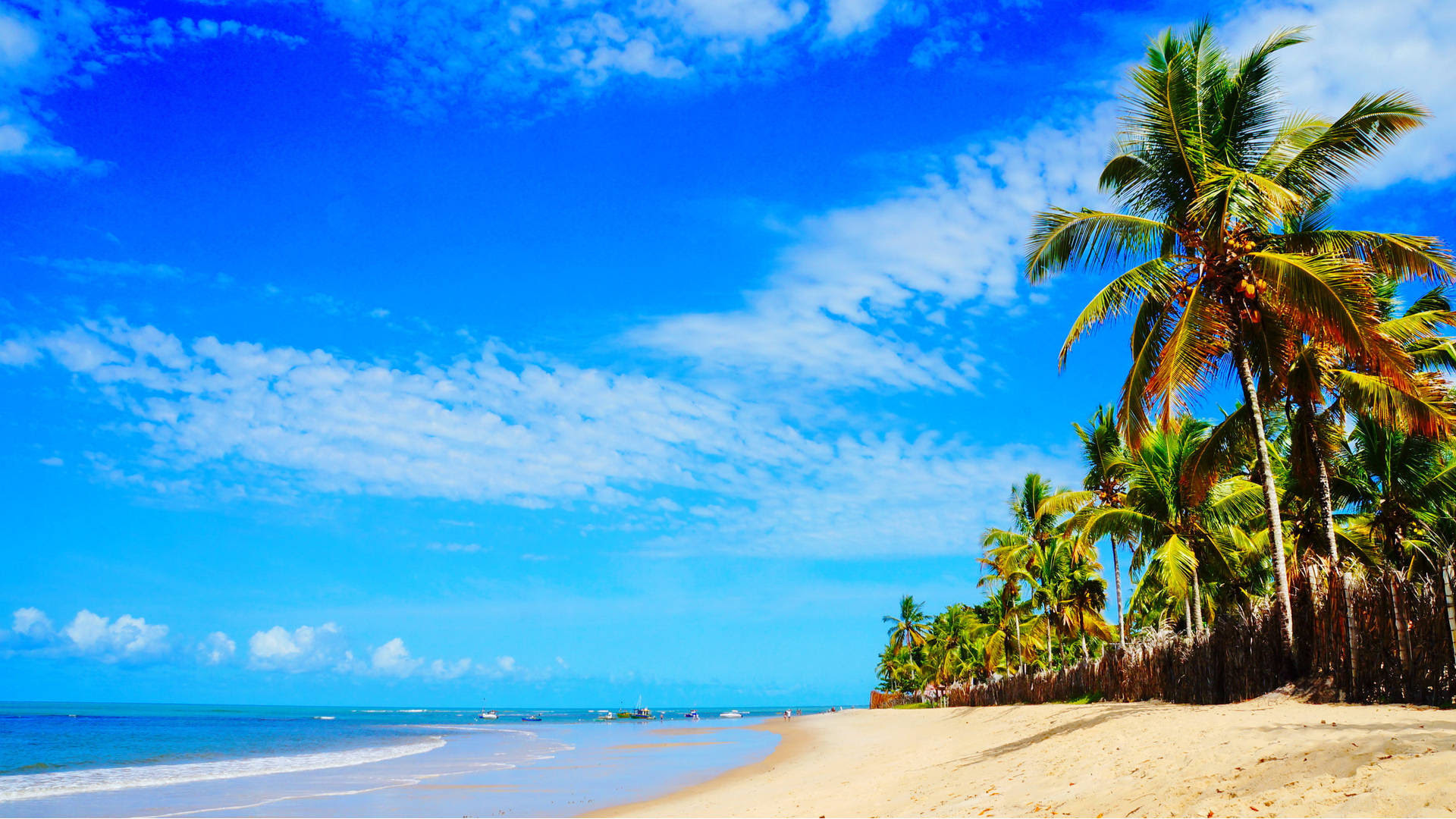 Confira os destinos preferidos para curtir o verão no Brasil