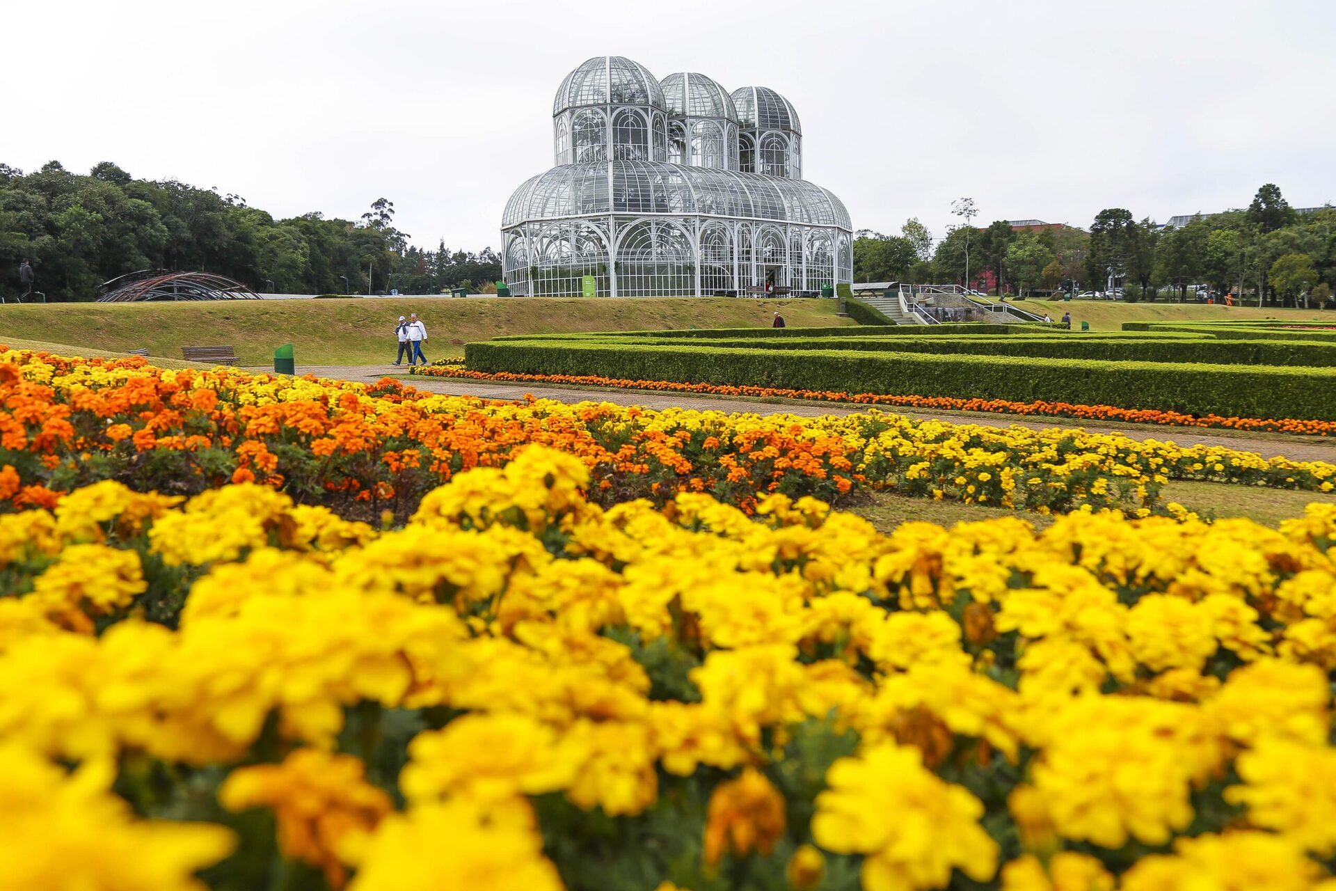 Jardim Botânico de Curitiba; capital paranaense é o novo destino da Wemobi