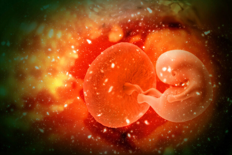 Microplástico foi encontrado em placenta