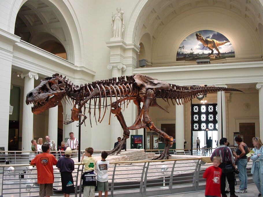 Museu de História Natural de Nova York