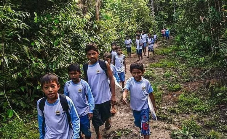 Núcleo Etam, escola em meio à floresta amazônica, com vaquinha aberta no Clube de Doadores