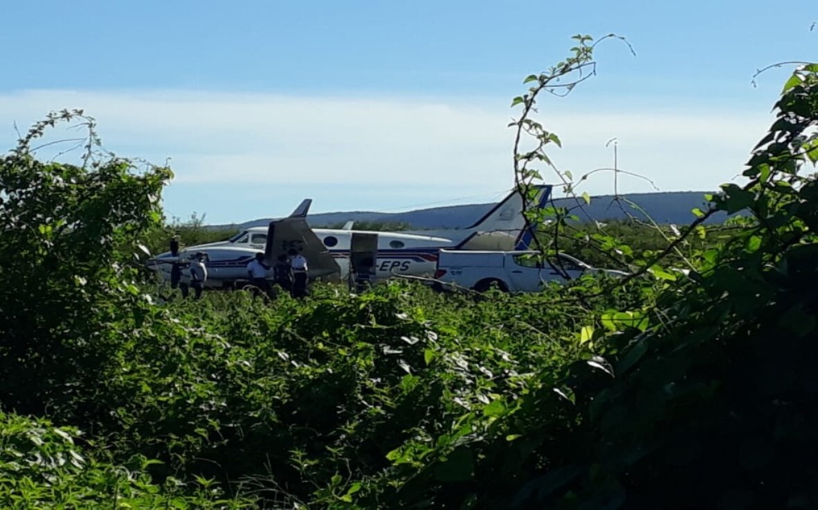 Avião com vacinas da covid bate em jumento em pista da Bahia