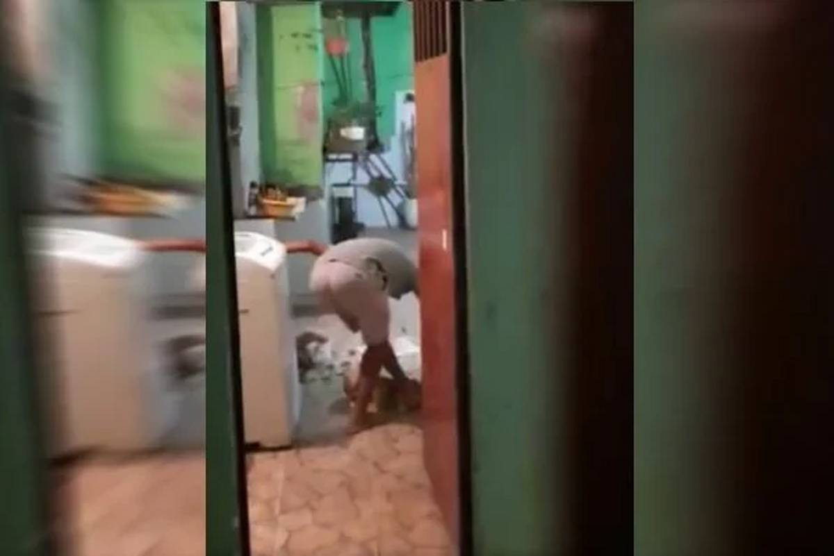 Homem é filmado pisando e chutando cabeça de cachorro e vai preso