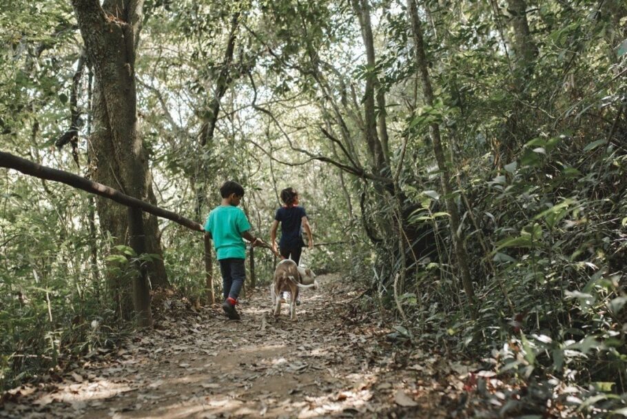 Parque do Monjolinho em Socorro (SP)